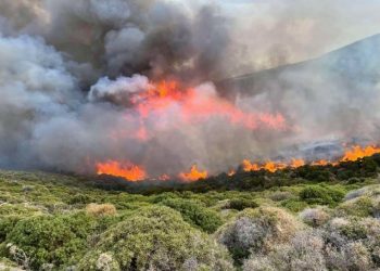 Συμβαίνει Τώρα: Καίγεται η Μονεμβασιά – Στη μάχη και εναέρια μέσα