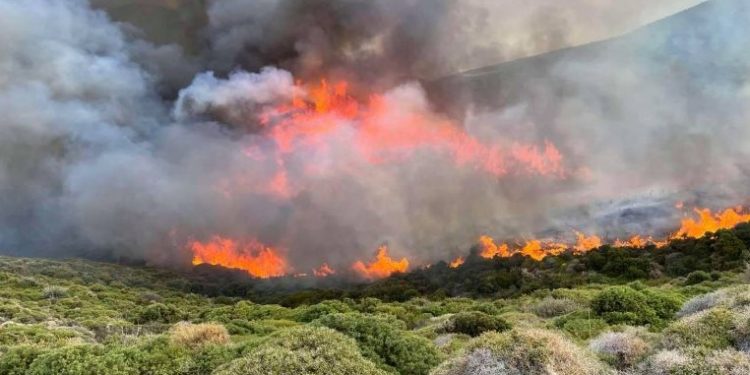Alldaynews.gr Συμβαίνει Τώρα: Καίγεται η Μονεμβασιά – Στη μάχη και εναέρια μέσα