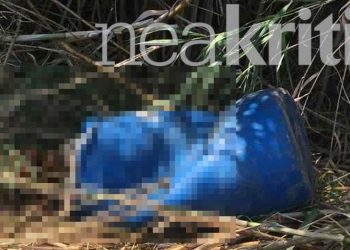 Πτώμα σε βαρέλι στο Ρέθυμνο: Βασανιστικός και φρικώδης θάνατος με μαφιόζικες πρακτικές