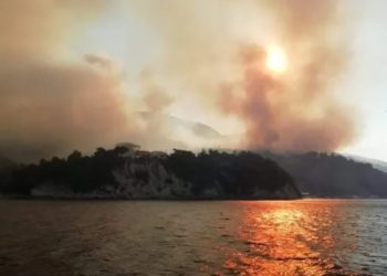 Φωτιά στη Σάμο: Ζητούν να κηρυχθεί το νησί σε κατάσταση έκτακτης ανάγκης[video]