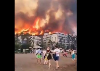 Τέσσερις νεκροί στις δασικές πυρκαγιές στην Τουρκία