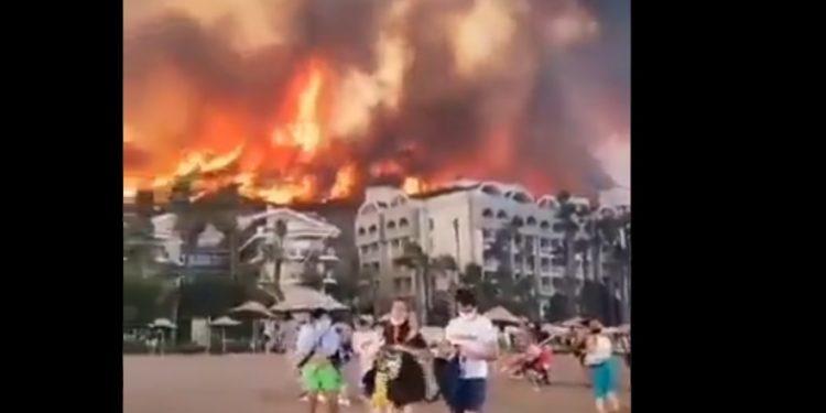 Τέσσερις νεκροί στις δασικές πυρκαγιές στην Τουρκία