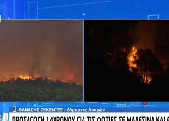 Φωτιές στον Θεολόγo: 14χρονος ομολόγησε ότι ευθύνεται για 9 από τις 13 – Προσήχθησαν και οι γονείς του