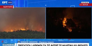 Φωτιές στον Θεολόγo: 14χρονος ομολόγησε ότι ευθύνεται για 9 από τις 13 – Προσήχθησαν και οι γονείς του