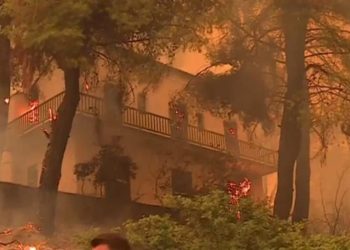 Εκτίμηση – σοκ από τον αντιδήμαρχο Μαντουδίου: 1.000 σπίτια παραδόθηκαν στις φλόγες