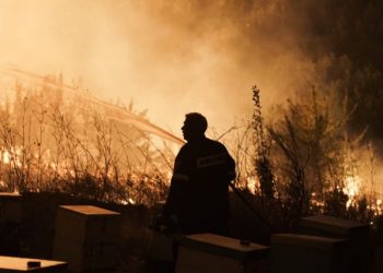 Έλενα Ασημακοπούλου: «Οι κόποι μιας ζωής σε δύο βαλίτσες»