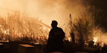 Alldaynews.gr Έλενα Ασημακοπούλου: «Οι κόποι μιας ζωής σε δύο βαλίτσες»