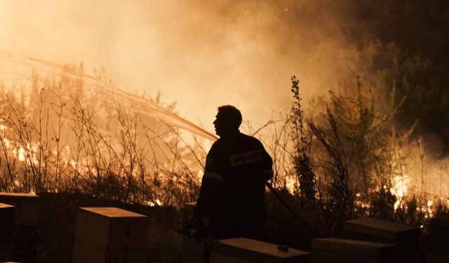 Alldaynews.gr Έλενα Ασημακοπούλου: «Οι κόποι μιας ζωής σε δύο βαλίτσες»