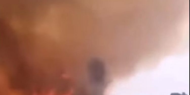 Φωτιά στα Βίλια: Στρόβιλος φωτιάς εκτόξευσε φλεγόμενο κορμό δέντρου προς τους πυροσβέστες[Σοκαριστικό Βίντεο]