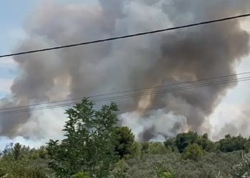 Φωτιά στο Θεολόγο: «Δεν το έχω κάνει εγώ» λέει τώρα ο 14χρονος