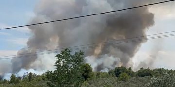 Alldaynews.gr Φωτιά στο Θεολόγο: «Δεν το έχω κάνει εγώ» λέει τώρα ο 14χρονος