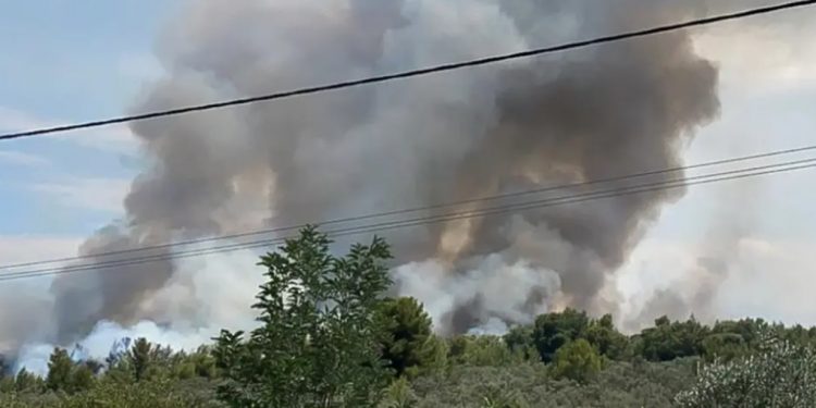 Alldaynews.gr Φωτιά στο Θεολόγο: «Δεν το έχω κάνει εγώ» λέει τώρα ο 14χρονος