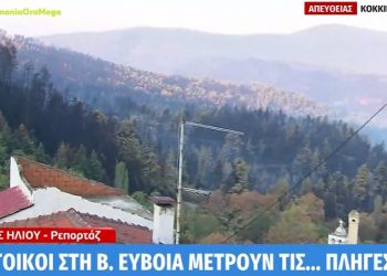 Βόρεια Εύβοια: Οι κάτοικοι γύρισαν πίσω στα χωριά και μετρούν τις πληγές τους[video]