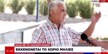 Δεν ήξεραν πως να το σώσουν: Κάτοικος της Εύβοιας «τελειώνει» τον ΣΚΑΪ με δυο λόγια και τον κόβουν στον αέρα[video]