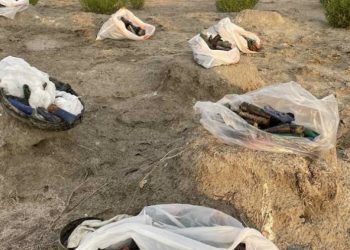 Θεσσαλονίκη: Μάζεψαν 10 κιλά φυσίγγια από υγρότοπο όπου είχαν βρεθεί νεκρά φλαμίνγκο