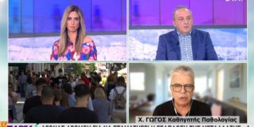 Alldaynews.gr Γώγος: Κανονικά χρειάζεται εργαστηριακό τεστ για να ψωνίσουν οι ανεμβολίαστοι
