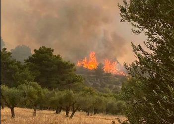 Ανεξέλεγκτη η φωτιά στη Ρόδο: Xωρίς ρεύμα το νησί – Eκκένωση οικισμών