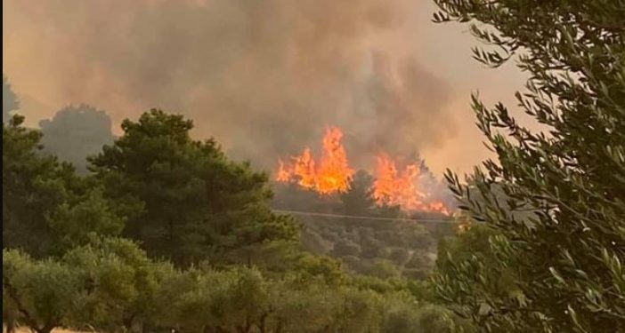 Alldaynews.gr Ανεξέλεγκτη η φωτιά στη Ρόδο: Xωρίς ρεύμα το νησί – Eκκένωση οικισμών