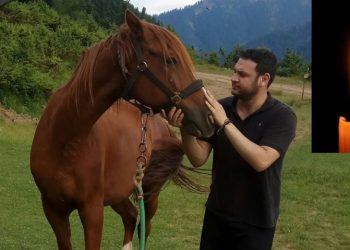 Alldaynews.gr Τραγωδία: Σήμερα κηδεύεται ο 36χρονος αστυνομικός-Πως “έφυγε” ξαφνικά το παλικάρι