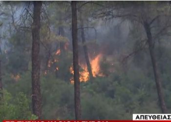 Εύβοια- Ανεξέλεγκτη η φωτιά: Σε πύρινο κλοιό Ελληνικά, Βασιλικά, Ψαροπούλι-Νέα εντολή εκκένωσης