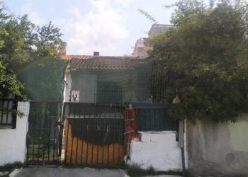 Ραγδαίες Εξελίξεις για το άγριο φονικό: Ομολόγησε ο Δολοφόνος-Γυναίκα ή Ναρκωτικά η αιτία;