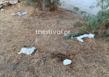 Πριν Λίγο: Συνελήφθη ο δράστης της άγριας δολοφονίας της 55χρονης [video]