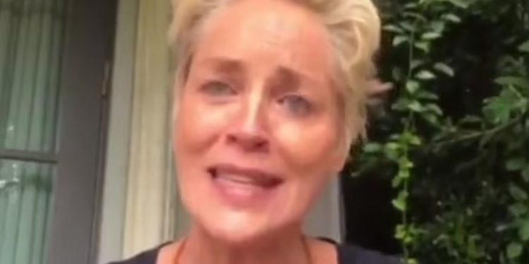 Alldaynews.gr Σάρον Στόουν