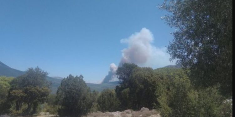 Ανεξέλεγκτη η φωτιά στα Βίλια: Εκκένωση 4 οικισμών-Διακοπή κυκλοφορίας