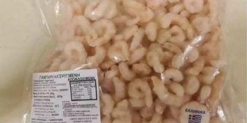 Alldaynews.gr γαρίδες κτψ