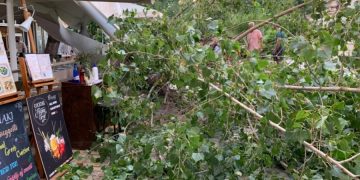 δέντρο εστιατόριο