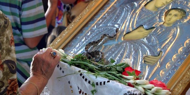 Alldaynews.gr Έγινε και φέτος το θαύμα! Εμφανίστηκαν τα φιδάκια της Παναγίας
