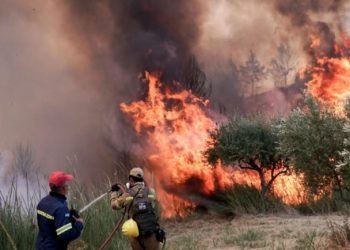 Alldaynews.gr Φωτιά στην Ηλεία: Εντοπίστηκε ύποπτος για εμπρησμό