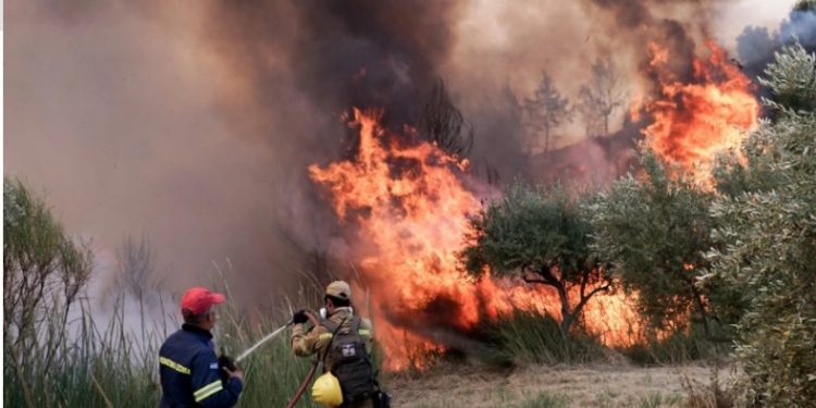 Alldaynews.gr Φωτιά στην Ηλεία: Εντοπίστηκε ύποπτος για εμπρησμό