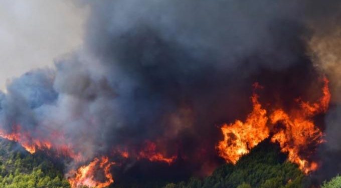 Alldaynews.gr Φωτιά στη Μεσσηνία: Συνελήφθη άνδρας για εμπρησμό στην Καλαμάτα (vid)