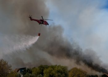 Φωτιά Κερατέα: «Ύποπτο όχημα πέταξε κάτι πίσω από τους κάδους και έφυγε»