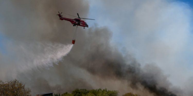 Alldaynews.gr Φωτιά Κερατέα: «Ύποπτο όχημα πέταξε κάτι πίσω από τους κάδους και έφυγε»