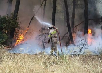Ελεύθερος με περιοριστικούς όρους ο 14χρονος για τις φωτιές στη Μαλεσίνα