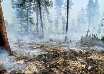 Η καμένη έκταση στην Ελλάδα φέτος ξεπερνά τα 930.000 στρέμματα