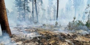 Alldaynews.gr Η καμένη έκταση στην Ελλάδα φέτος ξεπερνά τα 930.000 στρέμματα