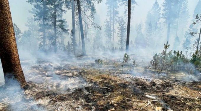 Alldaynews.gr Η καμένη έκταση στην Ελλάδα φέτος ξεπερνά τα 930.000 στρέμματα