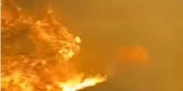 Alldaynews.gr φωτιά πυρκαγιά