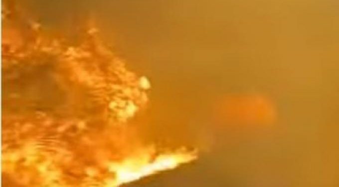 Alldaynews.gr φωτιά πυρκαγιά