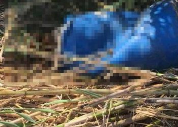 Σοκ στην Κρήτη: Σε ποιον ανήκει ο σκελετός που βρέθηκε μέσα στο βαρέλι