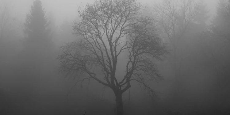 Το πτώμα του βάλτου: Το έγκλημα-μυστήριο που παραμένει ανεξιχνίαστο εδώ και πολλά χρόνια