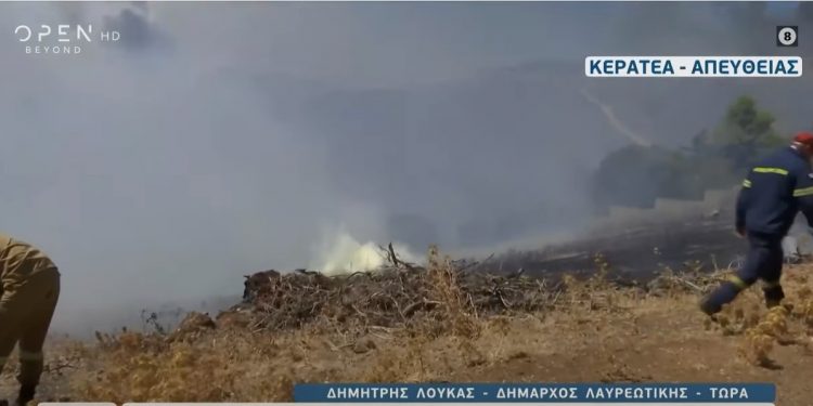 Alldaynews.gr Μαρκάτι