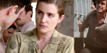 Alldaynews.gr Άγριες Μέλισσες