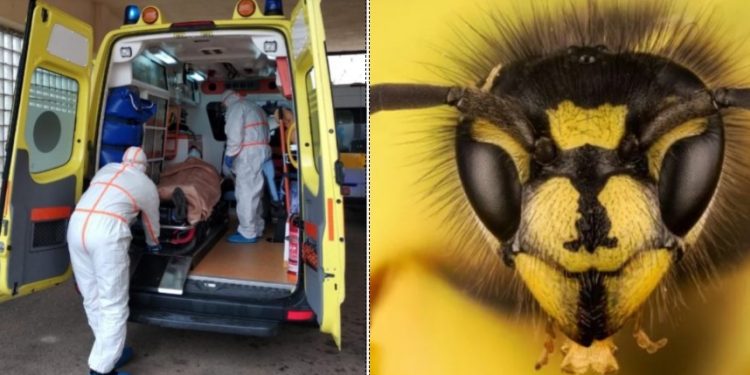 Τραγωδία: Την τσίμπησε μέλισσα και πέθανε λίγα λεπτά μετά