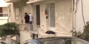 Alldaynews.gr Εικόνα που ραγίζει καρδιές: Ο σκύλος του Μίκη Θεοδωράκη θρηνεί στο πλατύσκαλο