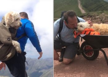 Η Τελευταία Βόλτα Στο Αγαπημένο Του Βουνό Για Τον Σκύλο Που Πέθαινε Από Καρκίνο[photos]