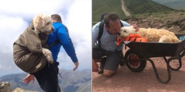 Η Τελευταία Βόλτα Στο Αγαπημένο Του Βουνό Για Τον Σκύλο Που Πέθαινε Από Καρκίνο[photos]